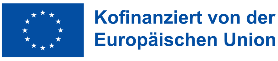de-kofinanziert-von-der-europaeischen-union-pantone-2.png