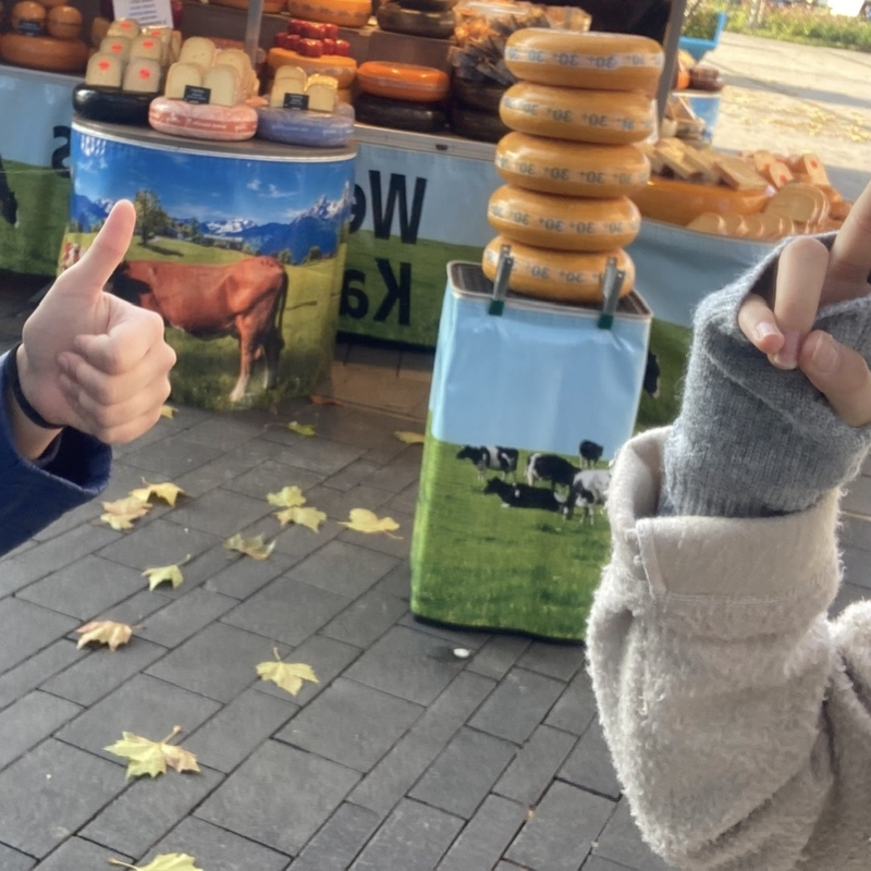Bild eines K&auml;sestandes auf einem niederl&auml;ndischen Wochenmarkt, davor ein Daumen hoch.