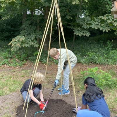 Jugendliche errichten gemeinsam eine Holzstruktur oder Rankhilfe im Schulgarten.