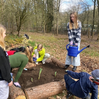 Sch&uuml;lerinnen und Sch&uuml;ler pflanzen im Freien, eine Person h&auml;lt eine Gie&szlig;kanne.