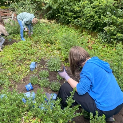 Sch&uuml;lerin pflanzt oder pflegt junge Pflanzen in einem Beet.