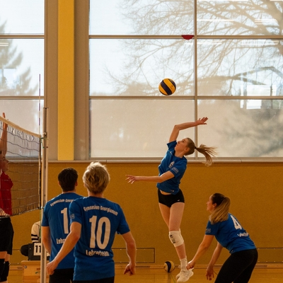 Jugendliche und Lehrkr&auml;fte spielen Volleyball in einer Sporthalle.