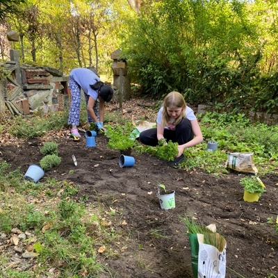 Sch&uuml;lerinnen und Sch&uuml;ler pflanzen gemeinsam in einem Gartenbereich.