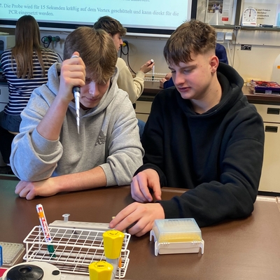 Sch&uuml;lerinnen und Sch&uuml;ler arbeiten gemeinsam an einem Versuch mit Pipette.
