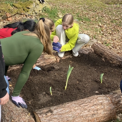 Sch&uuml;lerinnen und Sch&uuml;ler pflanzen gemeinsam in einem Beet im Freien.