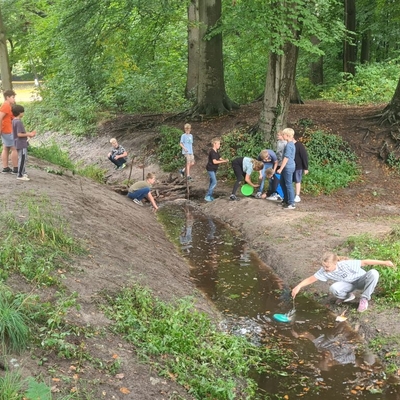 Kinder erkunden gemeinsam einen kleinen Bach im Wald.