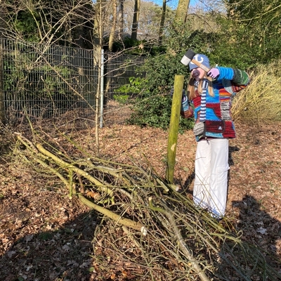 Person arbeitet im Wald an einem Pfahl f&uuml;r ein Umweltprojekt.