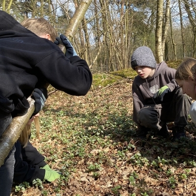 Jugendliche arbeiten gemeinsam an einem Umweltprojekt im Wald.