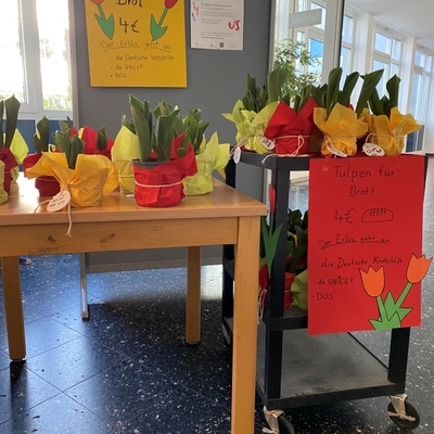 Tisch mit bepflanzten T&ouml;pfen und Plakat bei einer schulischen Umweltaktion.